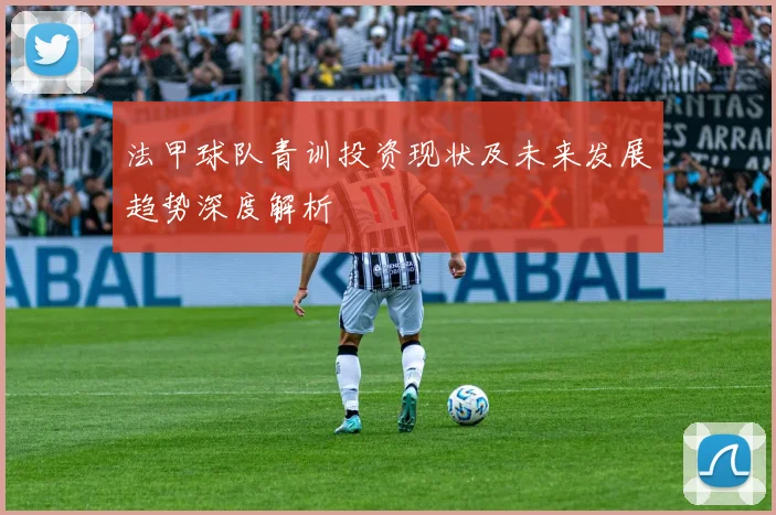 法甲球队青训投资现状及未来发展趋势深度解析