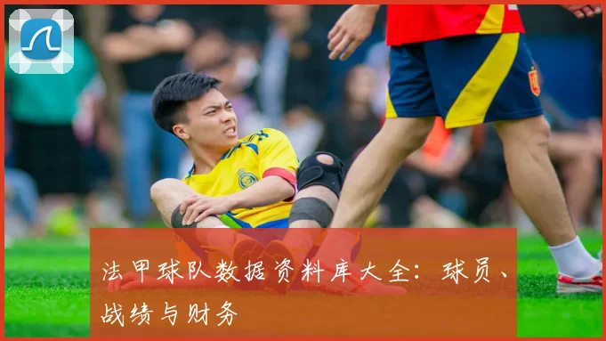 法甲球队数据资料库大全：球员、战绩与财务