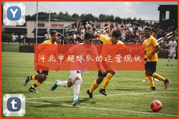 河北中超球队的运营现状