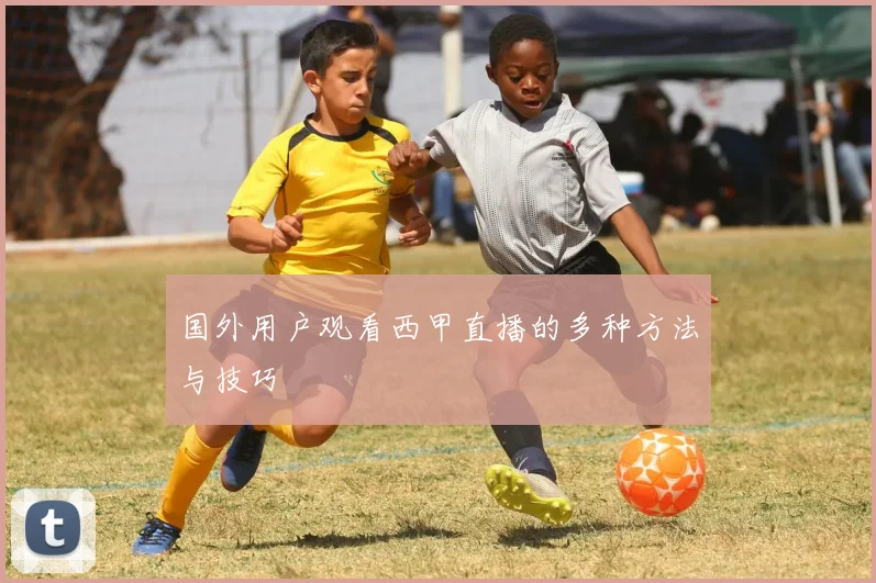 国外用户观看西甲直播的多种方法与技巧