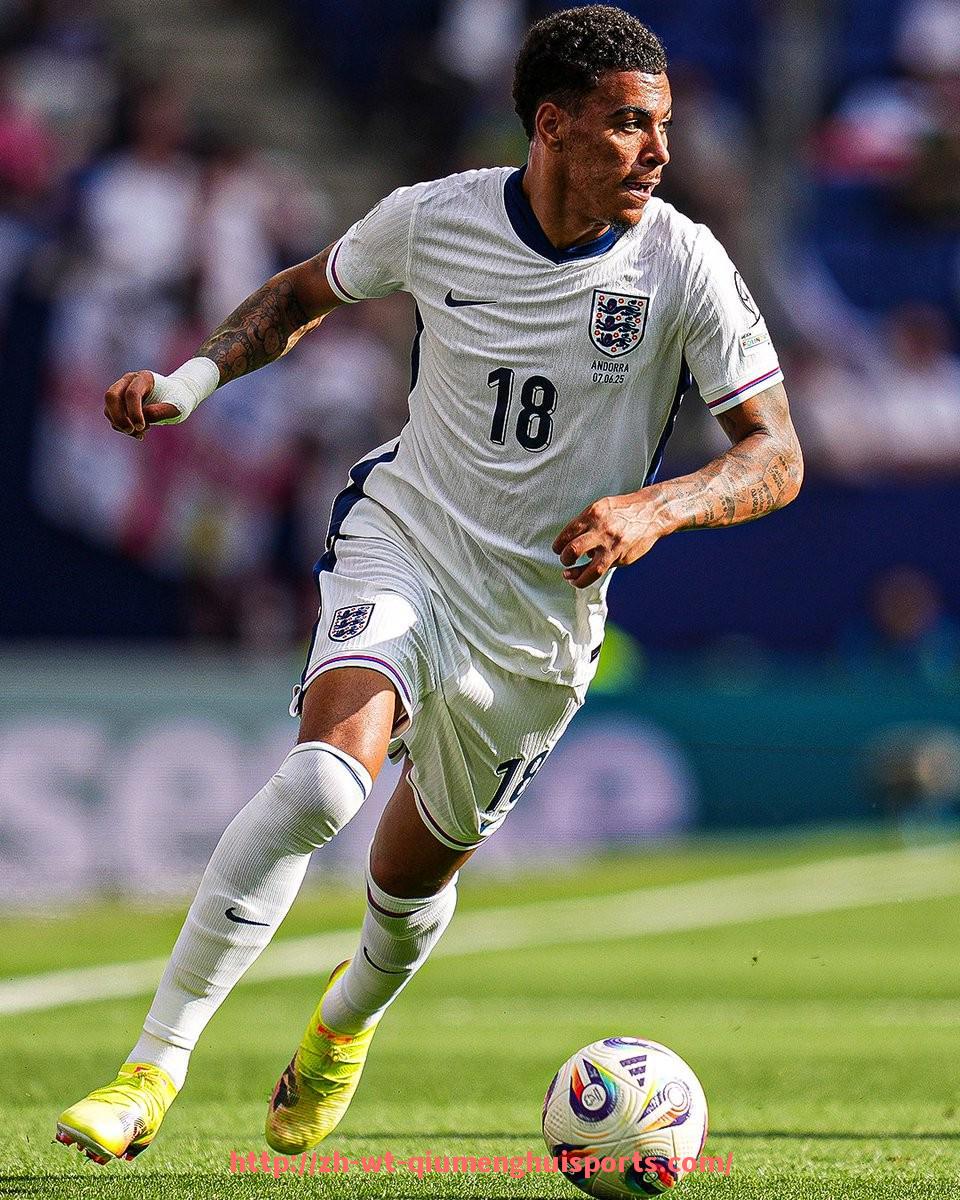 球盟会官网-新赛季晋级英超的升班马球队介绍及前景预测